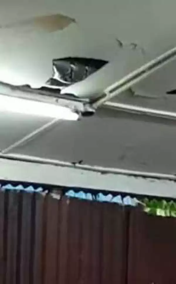 Photos: Large snake drops in on terrified diners from restaurant roof